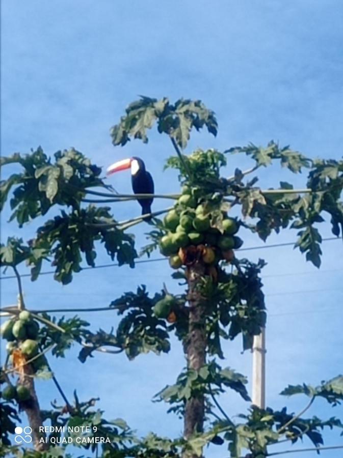 Chacara Recanto Das Pedras Para 8 Pessoas Serra Negra  Luaran gambar